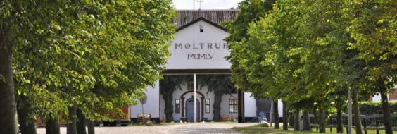 Moltrup